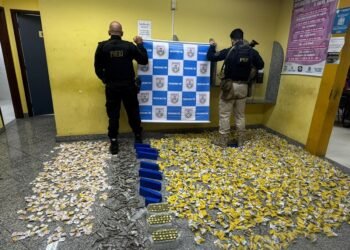 Mais de 36 kg de drogas são apreendidos em operação policial em Teresópolis
