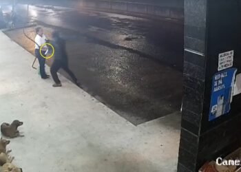 Mulher tem celular roubado por trio com faca em Campos; vídeo