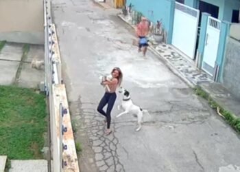 Mulher é atacada por cachorro enquanto passava com o animal de estimação em Campos dos Goytacazes