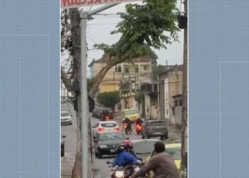 Mulher é baleada na cabeça durante assalto no Colégio