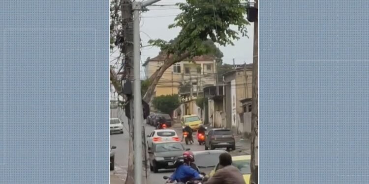 Mulher é baleada na cabeça durante assalto no Colégio Mulher é baleada na cabeça durante assalto no Colégio