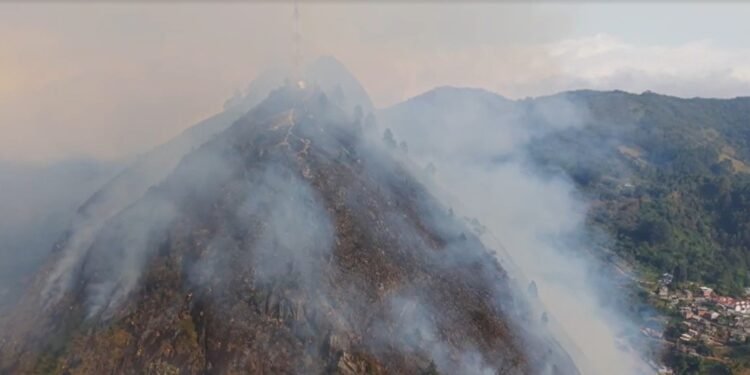 Incêndio em aglomerados mobilizados bombeiros pelo segundo dia em Nova Friburgo