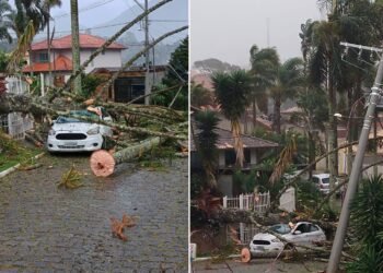 Praça é parcialmente interditada em Nova Friburgo após risco de queda de árvores