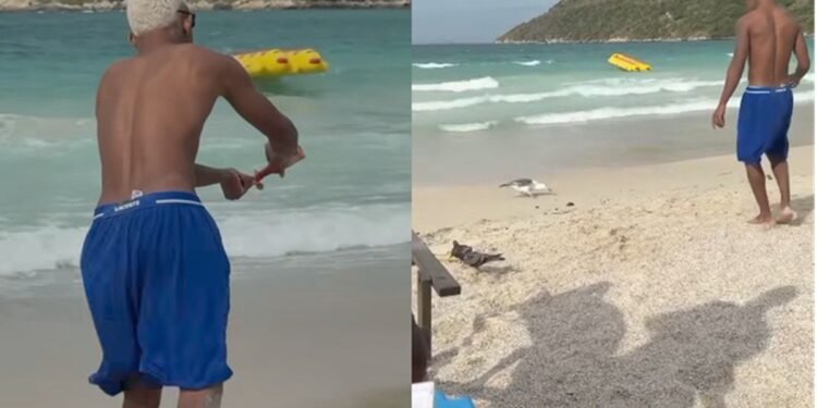Influenciador alimenta gaivotas com petiscos com pimenta em Arraial do Cabo