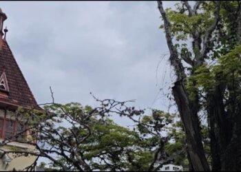 Nova Friburgo registra 6°C e madrugada mais fria do mês