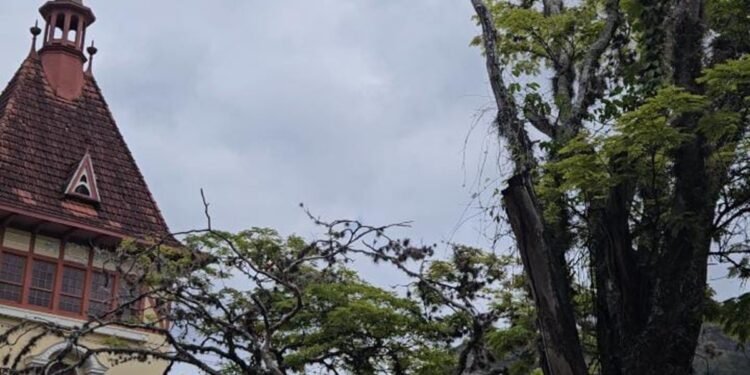 Nova Friburgo registra 6°C e madrugada mais fria do mês