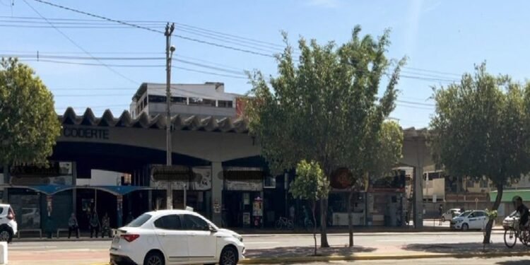 Empresas de ônibus transportam viagens entre Itaperuna e Rio