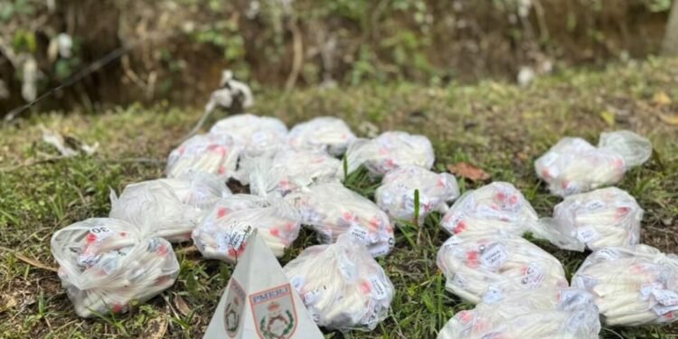 Quase 700 cápsulas de cocaína avaliadas em R$ 12 mil são apreendidas em Paraíba do Sul