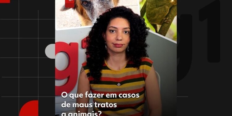 Cão vítima de maus-tratos é resgatado em Barra Mansa Cão vítima de maus-tratos é resgatado em Barra Mansa
