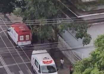 Vítima de ataque de abelhas continua internada no hospital de Três Rios; outros 19 feridos receberam alta