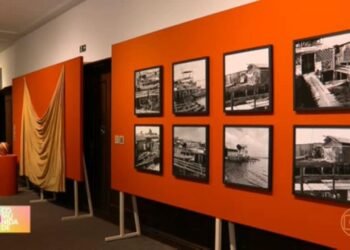 Exposição no CCBB mostra a importância e riqueza dos manguezais