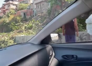 Queda de uma árvore interdita à autoestrada Grajaú-Jacarepaguá