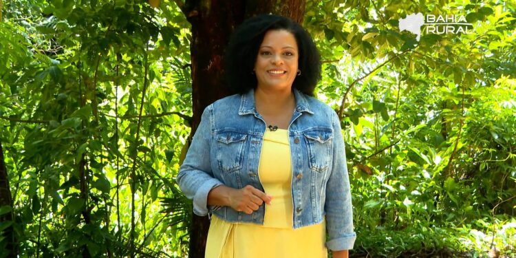 Vídeos da TV Bahia e g1 Bahia –domingo, 30 de novembro de 2025