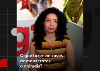 Dezenas de aves são resgatadas em situação de maus-tratos em Barra Mansa