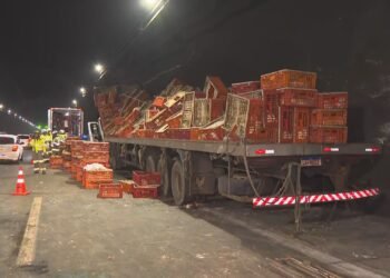 Caminhão com galinhas vivas tomba no Túnel da Covanca, na Linha Amarela