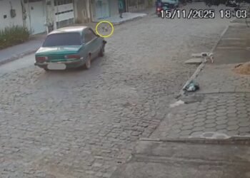 Cachorro morre atropelado após motorista fazer cavalo de pau em Campos