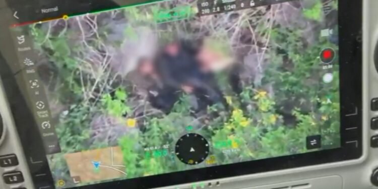 Tiroteio na mata, socorro a ferido, progressão em becos: câmeras corporais e drones mostram detalhes de megaoperação no RJ