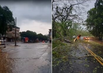 Defesa Civil monitora áreas afetadas por chuva intensa em Itaperuna