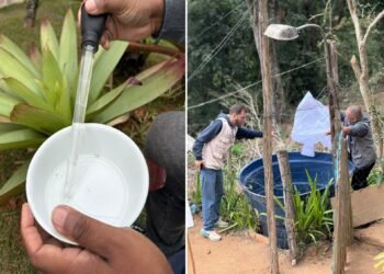 Petrópolis registra menor índice de 2025 para infestação pelo mosquito Aedes Aegypti