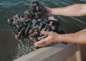 Pescadores da Baía de Guanabara enfrentam excesso de lixo na água: ‘tem dia que não vê peixe, só plástico’