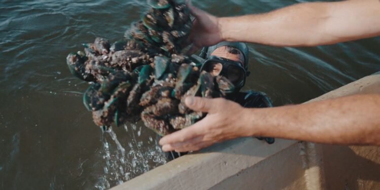 Pescadores da Baía de Guanabara enfrentam excesso de lixo na água: ‘tem dia que não vê peixe, só plástico’