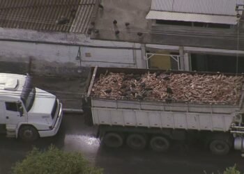 Vizinhos de fábrica de sabão recuperam de mau cheiro e urubus