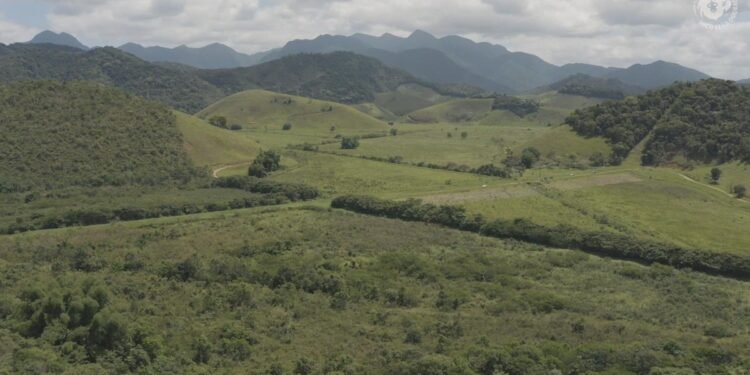 Mata Atlântica celebra duas novas RPPNs durante a COP30