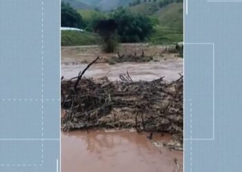 Cabeça d’água assusta moradores da zona rural de Cantagalo