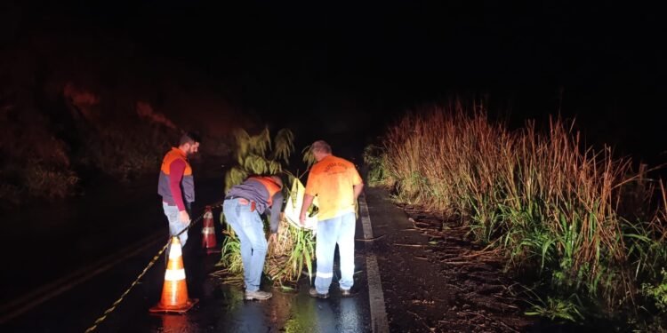 Trecho da RJ-186 cede e trânsito funciona em sistema ‘siga e pare’ em Santo Antônio de Pádua