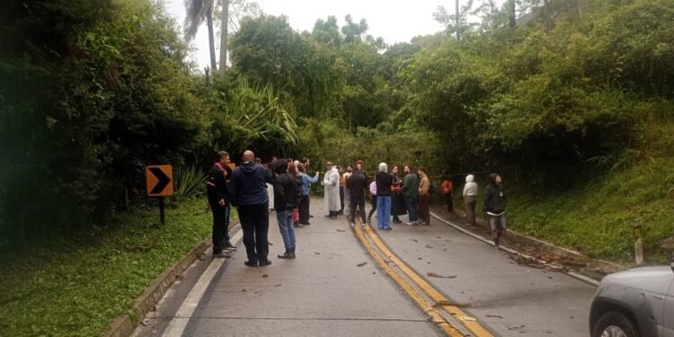 Ventos fortes provocam queda de árvores e interditam rodovias na Região Serrana do RJ