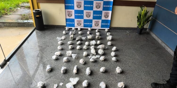 Drogas avaliadas em R$ 45 mil foram apreendidas em Valença