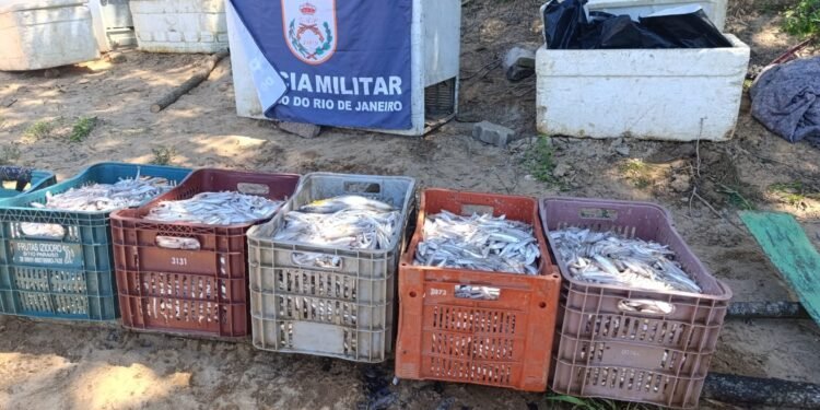 Operação ambiental flagra pesca ilegal em período de defesa no Rio Paraíba do Sul, em São Fidélis