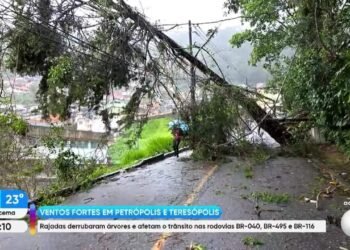 Ventos fortes provocam caos em Petrópolis e geram mais de 20 ocorrências em poucas horas