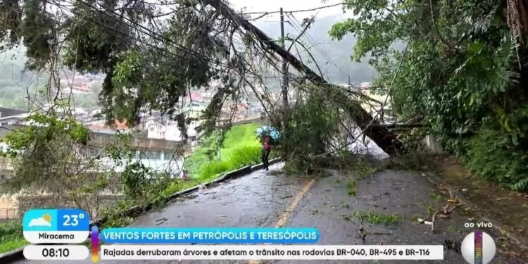 Ventos fortes provocam caos em Petrópolis e geram mais de 20 ocorrências em poucas horas