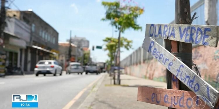 Em meio a calorão, dados mostram que Rio tem déficit de 860 mil árvores Em meio a calorão, dados mostram que Rio tem déficit de 860 mil árvores