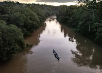 Menina de 2 anos morre depois de ser atacada por piranhas no rio Amazonas