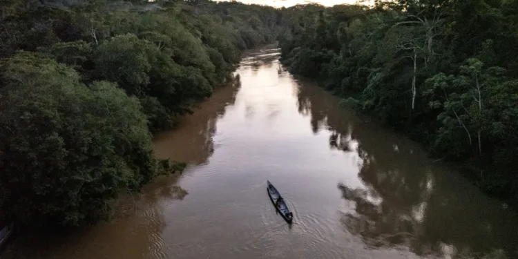 Menina de 2 anos morre depois de ser atacada por piranhas no rio Amazonas