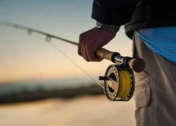 Pescadores profissionais têm até dia 31 para comprovar atividade