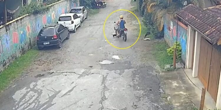 Motociclista é preso após passar por cima de cachorro em Lumiar