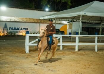 Paracambi recebe Exposição Especializada Natalina de Mangalarga Marchador até sábado
