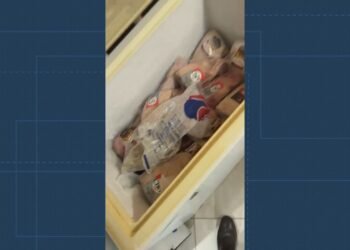 Em vídeo, TH Joias mostra freezer de carnes para Bacellar