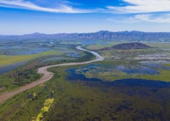 Família de Peixão foi detida a 420 km da Bolívia e disse que iria ‘passar’ no Pantanal