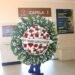 Corpo de Haroldo Costa é velado no Cemitério São Francisco Xavier Corpo de Haroldo Costa é velado no Cemitério São Francisco Xavier