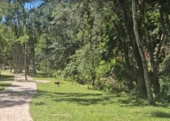 Teresópolis inaugura Horto Municipal com parque urbano e novidades