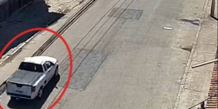 Polícia Civil apreende 700 kg de drogas em galpão em Ramos Polícia Civil apreende 700 kg de drogas em galpão em Ramos