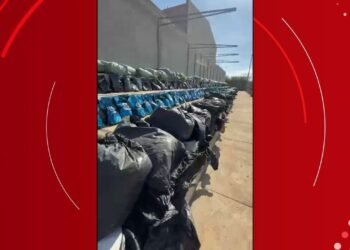 Mais de 4 toneladas de maconha do tipo ‘skunk’ são apreendidas na cidade da Bahia