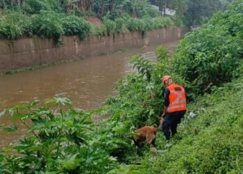 Cão da Guarda Civil auxilia nas buscas por servidor desaparecido