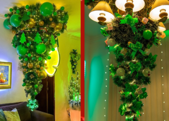 Casas decoradas para o Natal viram pontos turísticos na Bahia