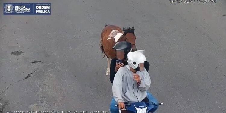 Cavalo amarrado em corda é puxado por moto em Volta Redonda; Dois jovens são autuados