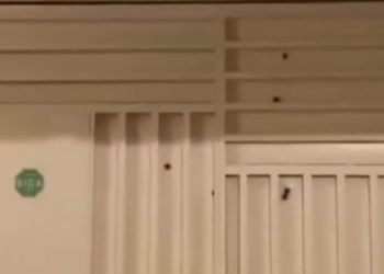 Casa de subtenente da Polícia Militar é alvo de ataque a tiros na Bahia